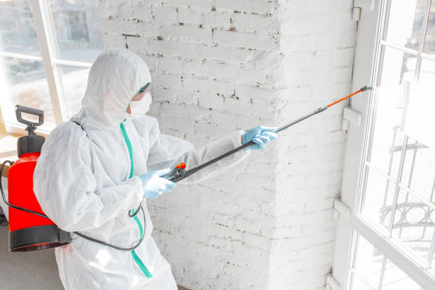 Best Forensic Mold Investigation  in Montpelier, ID