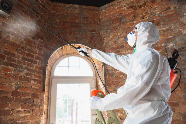 Best Emergency Mold Remediation  in Montpelier, ID